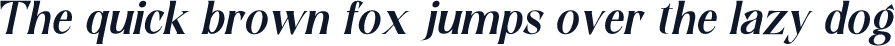 Contingent Serif Slant