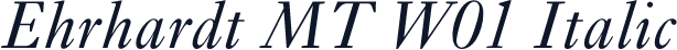 Ehrhardt MT W01 Italic