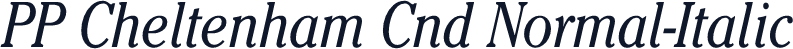 PP Cheltenham Cnd Normal-Italic