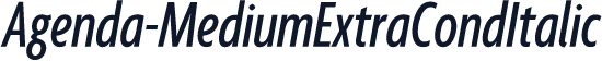 Agenda-MediumExtraCondItalic