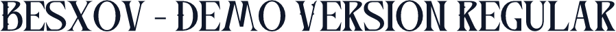 Besxov - Demo Version Regular