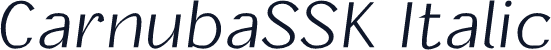 CarnubaSSK Italic