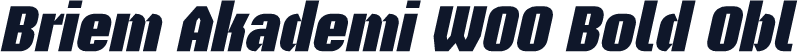 Briem Akademi W00 Bold Obl