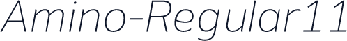 Amino-Regular11