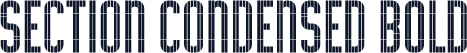 Section Condensed Bold
