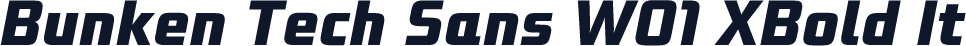 Bunken Tech Sans W01 XBold It