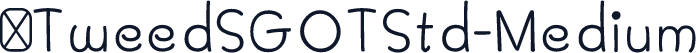 ☞TweedSGOTStd-Medium