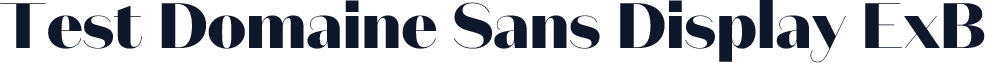 Test Domaine Sans Display ExB