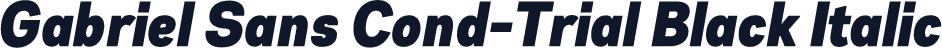 Gabriel Sans Cond-Trial Black Italic