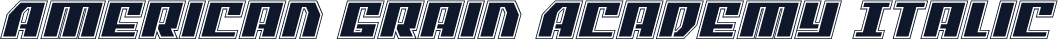 American Grain Academy Italic