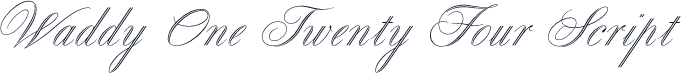 Waddy One Twenty Four Script