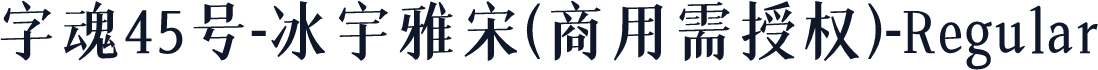 字魂45号-冰宇雅宋(商用需授权)-Regular
