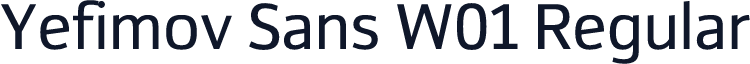 Yefimov Sans W01 Regular
