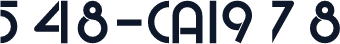548-CAI978