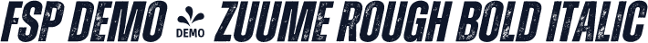 FSP DEMO - Zuume Rough Bold Italic