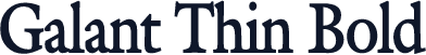 Galant Thin Bold