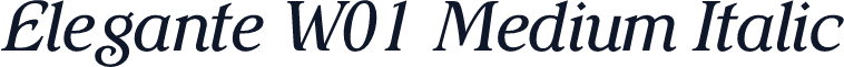 Elegante W01 Medium Italic