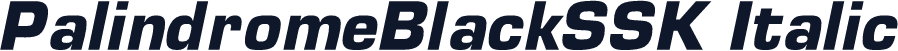 PalindromeBlackSSK Italic