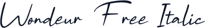 Wondeur Free Italic