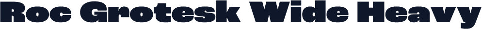 Roc Grotesk Wide Heavy