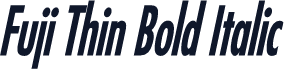 Fuji Thin Bold Italic