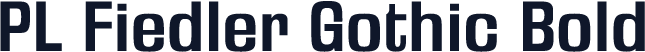 PL Fiedler Gothic Bold