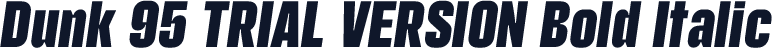 Dunk 95 TRIAL VERSION Bold Italic