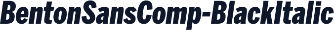 BentonSansComp-BlackItalic