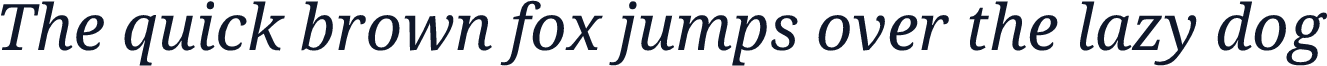 TypoPRO Noto Serif Italic