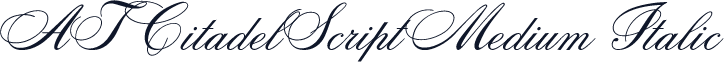 ATCitadelScript Medium Italic