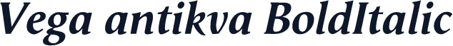 Vega antikva BoldItalic