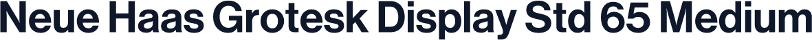 Neue Haas Grotesk Display Std 65 Medium
