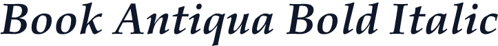 Book Antiqua Bold Italic