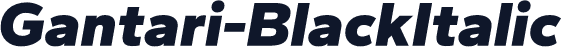 Gantari-BlackItalic