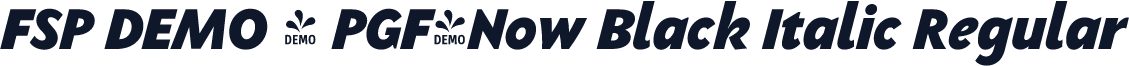 FSP DEMO - PGF-Now Black Italic Regular