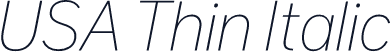 USA Thin Italic