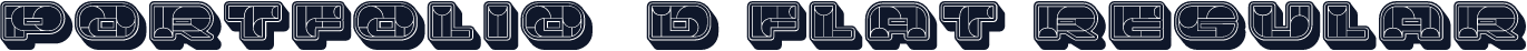 Portfolio 3D Flat Regular