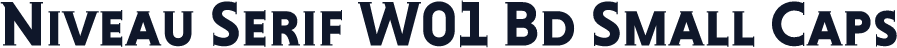 Niveau Serif W01 Bd Small Caps