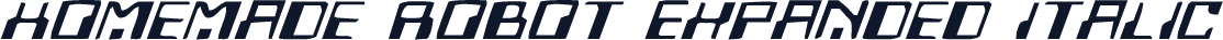 Homemade Robot Expanded Italic