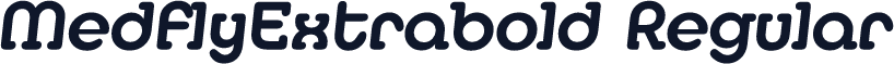 MedflyExtrabold Regular