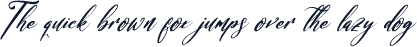 Bracetison DEMO VERSION Italic