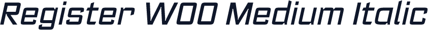 Register W00 Medium Italic