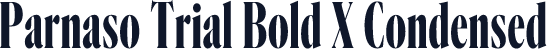 Parnaso Trial Bold X Condensed