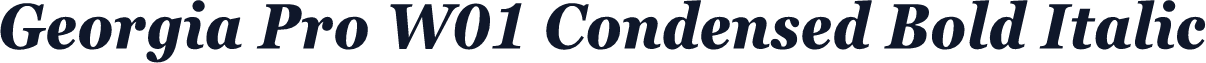 Georgia Pro W01 Condensed Bold Italic