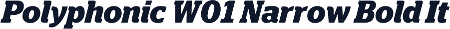 Polyphonic W01 Narrow Bold It