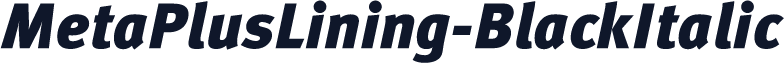 MetaPlusLining-BlackItalic