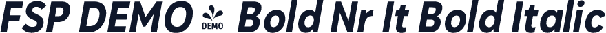 FSP DEMO - Bold Nr It Bold Italic