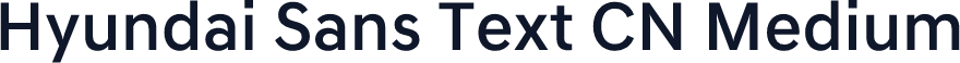 Hyundai Sans Text CN Medium