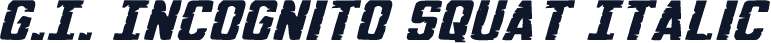 G.I. Incognito Squat Italic