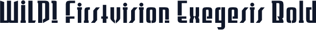 WILD1 Firstvision Exegesis Bold